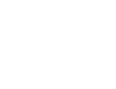 Vochos Unidos  logo