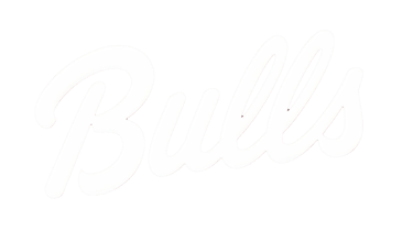 Bulls Gt Nutrición Deportiva Guatemala logo