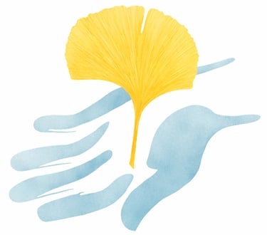 Fiore Jean Ostéopathe Psychopraticien logo