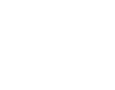 Vital Pro Breeze logo