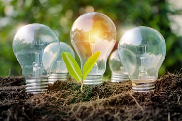 Focos iluminados con planta verde creciendo