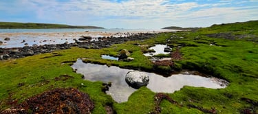 Coastal tidal landscape in Tayvallich, with rocky shoreline, seaweed, and distant hills under soft c