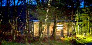 A small woodland studio with warm interior light, surrounded by birch and moss in a quiet forest gar