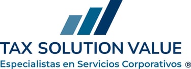 TSVSERVICIOS logo