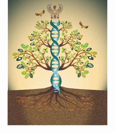 PHDFOUNDATION logo