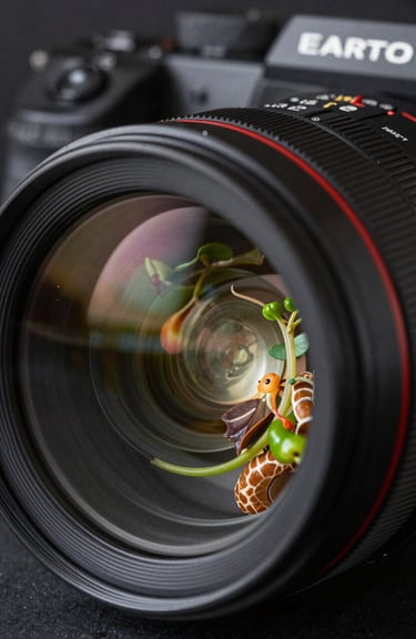 A close-up of a high-end professional camera lens focusing on a beautifully plated seasonal dish.