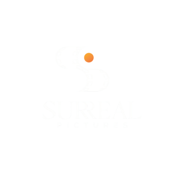 Daniel da Trindade (Director DDT) logo