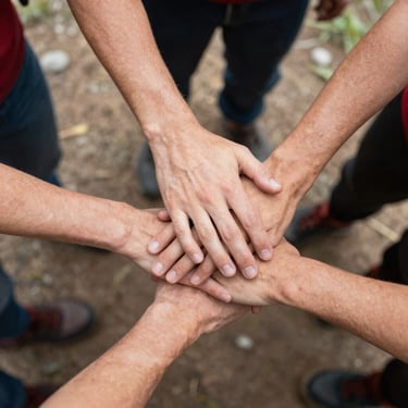 black blue and yellow textile