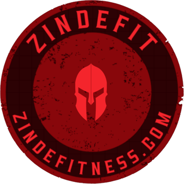 zindemedya logo