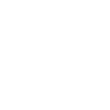 Corina Ignat logo