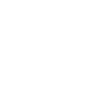 Corina Ignat logo