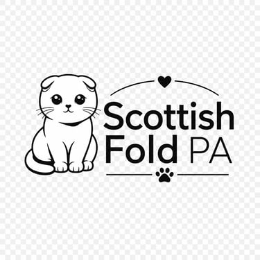 Foldora logo