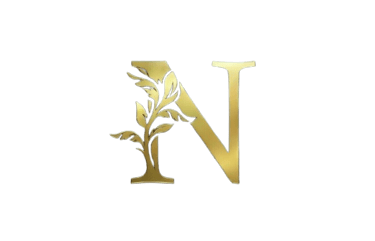 Nexus Immobilier Océan Indien logo