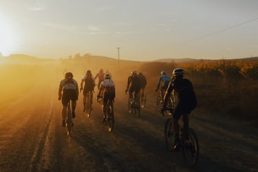 A group of cyclists riding their bikes during a race and doing well because of performance coaching