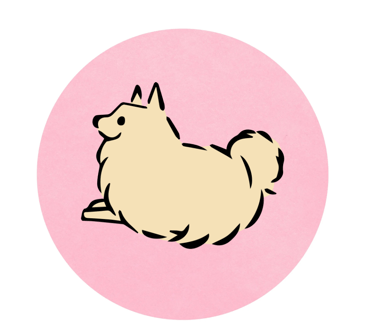 Dubu Pom The Dubu The Aloha Pomeranian Video Home Page logo