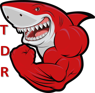 TDR logo