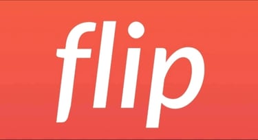 CS FLIP logo