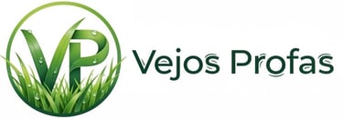 Vejos Profas logo