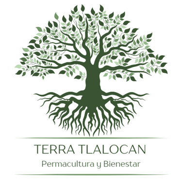 Terra Tlalocan logo