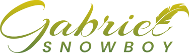Gabriel Snowboy logo