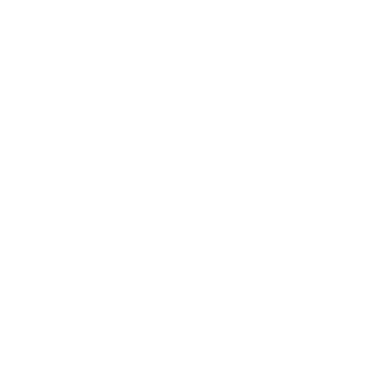 Brenda Hidalgo Portfolio logo