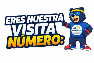 Visita