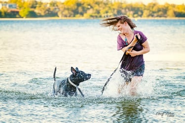Woman and dog splashing through Swan River shallows at golden hour in Attadale, Perth pet photography Fisher Photography