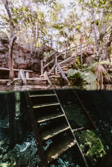 cenote eden escalera