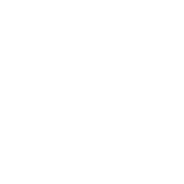 Dr. Amilcar Chicolani | Fisioterapeuta e Quiropraxista em Santo André logo
