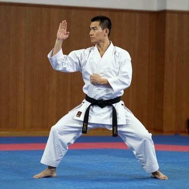 karateca treinando em um dojo