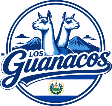 Sabor Brillante logo