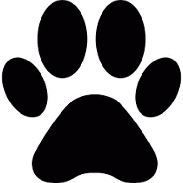 CãoViva logo