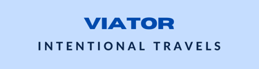 a plane with the words viator international travel
