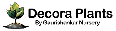 Decora Plants By Gaurishankar nursery