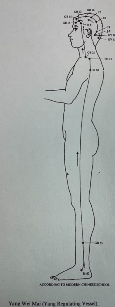 Yang Wei Mai (Yang Regulating Vessel): how our outer life and roles unfold through time.