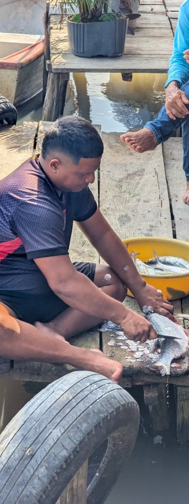 Fisherman in the Cienaga grande