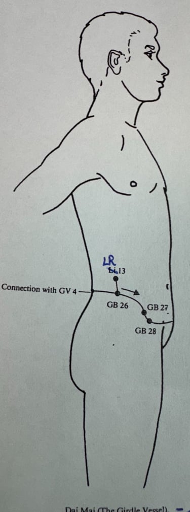 Dai Mai (Girdle Vessel): storage and release of old patterns around the waist and hips.