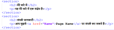 html section