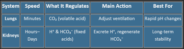 pH regulation
