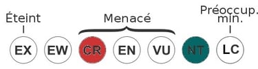 echelle-statut-menacé-requins