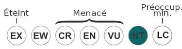 statu-uicn-requin-pointe-noire