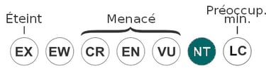 statut-espece-menace-requin-groenland