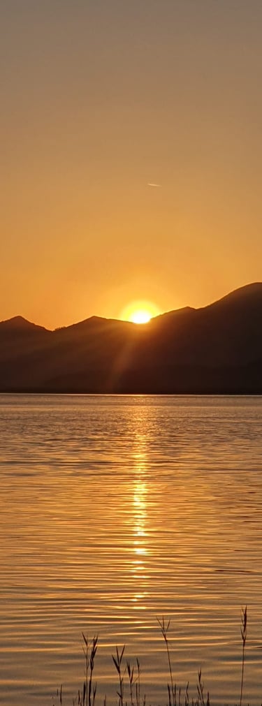 a sunset over a lake with a tree in the foreground