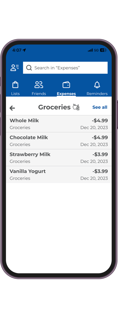 Shopden's Expense Breakdown