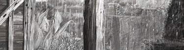 Digital drawing: Great Dixter digital diary. Dixter downpour
