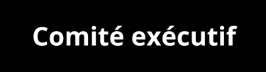 Comité exécutif du CDP