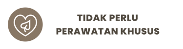 Keunggulan Pintu Solid Wood Panel