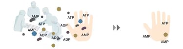 ¿Cómo funciona? Kikkoman Biochemifa monitorea de cerca el brote de coronavirus (COVID-19)