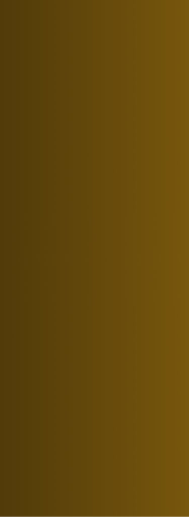 modalidad premium Exclusive Jordan