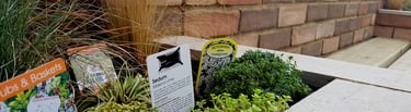 Colourful Garden Makeover Brick Seating Planer Bar New Lawn